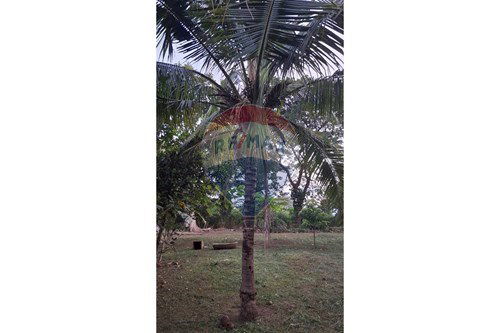 For Sale-Land - Residential-Nam Phrae  -  Hang Dong, Chiang Mai-920211020-32