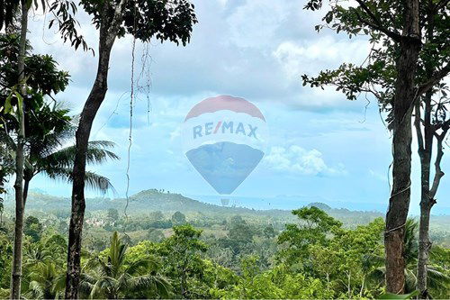 For Sale-Land - Residential-Lipa Noi  -  Koh Samui, Surat Thani-920121068-52