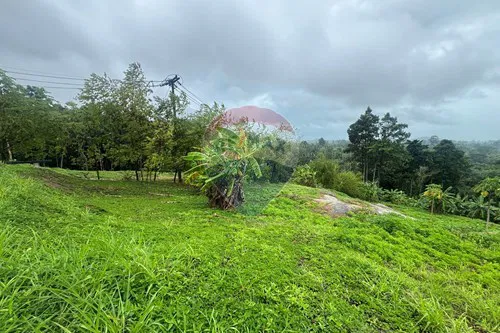 For Sale-Land - Residential-Lipa Noi  -  Koh Samui, Surat Thani-920121052-80