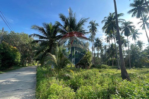 For Sale-Land - Residential-Maenam  -  Koh Samui, Surat Thani-920121083-24
