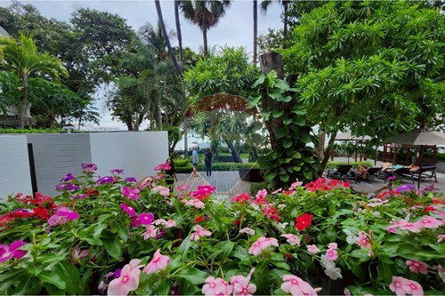 Slider Image Thumbnail