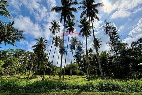 For Rent/Lease-Land - Residential-Koh Samui, Surat Thani-920121088-6