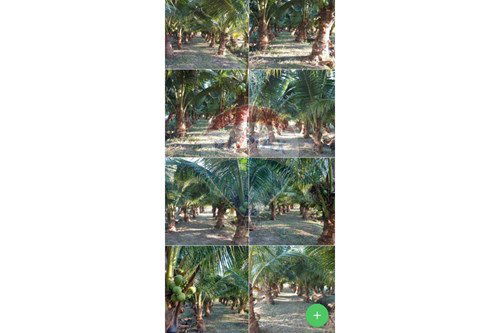 Slider Image Thumbnail