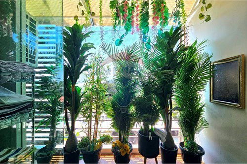 Slider Image Thumbnail