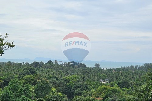 For Sale-Land - Residential-Koh Pha Ngan, Surat Thani-920621004-134
