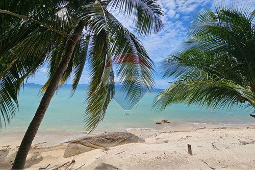 For Sale-Land - Residential-Koh Pha Ngan, Surat Thani-920621004-162