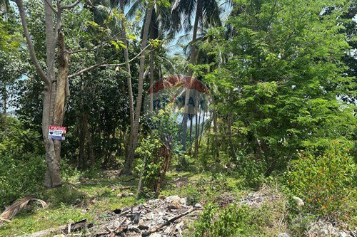 For Sale-Land - Residential-Thong Krut  -  Koh Samui, Surat Thani-920121001-2912