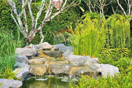 Slider Image Thumbnail