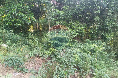 Slider Image Thumbnail