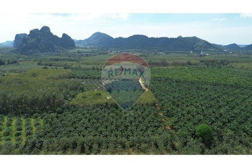 For Sale-Land - Residential-Ao Nang  -  Mueang Krabi, Krabi-920281025-6