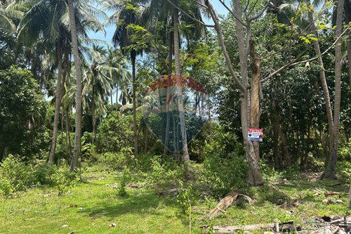 For Sale-Land - Residential-Thong Krut  -  Koh Samui, Surat Thani-920121001-2911