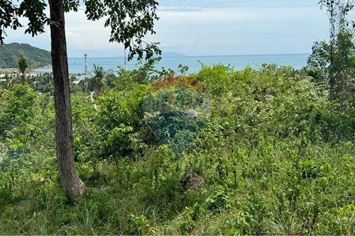 出售-土地-Koh Pha Ngan, Surat Thani-920621004-107