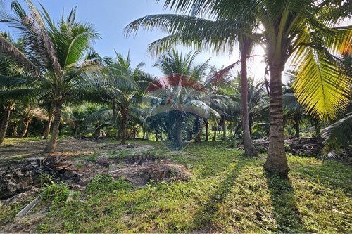 ขาย-ที่ดินสำหรับอยู่อาศัย-เกาะพะงัน, สุราษฎร์ธานี-920621004-108