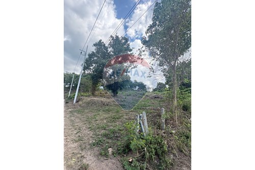 For Rent/Lease-Land - Residential-Maenam  -  Koh Samui, Surat Thani-920121059-43