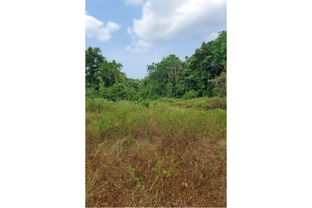 For Sale Land - Residential at Koh Pha Ngan, Surat Thani, 7500000 THB, Bedrooms, Surat Thani