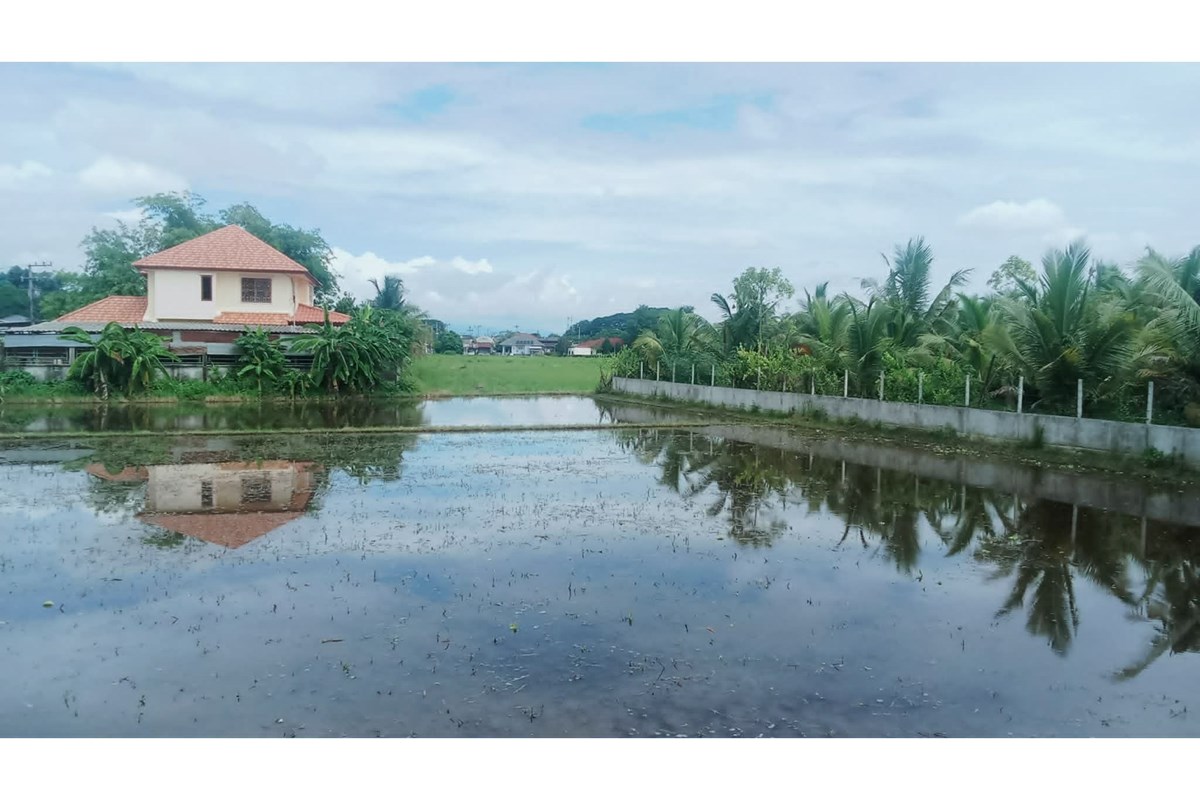 For Sale Land - Residential at San Na Meng San Sai, Chiang Mai, North, 14550000 THB, Bedrooms, San Na Meng, Chiang Mai