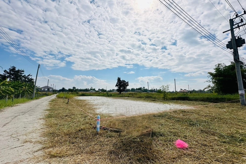 For Sale Land - Residential at Pa Lan Doi Saket, Chiang Mai, 470000 THB, Bedrooms, Pa Lan, Chiang Mai