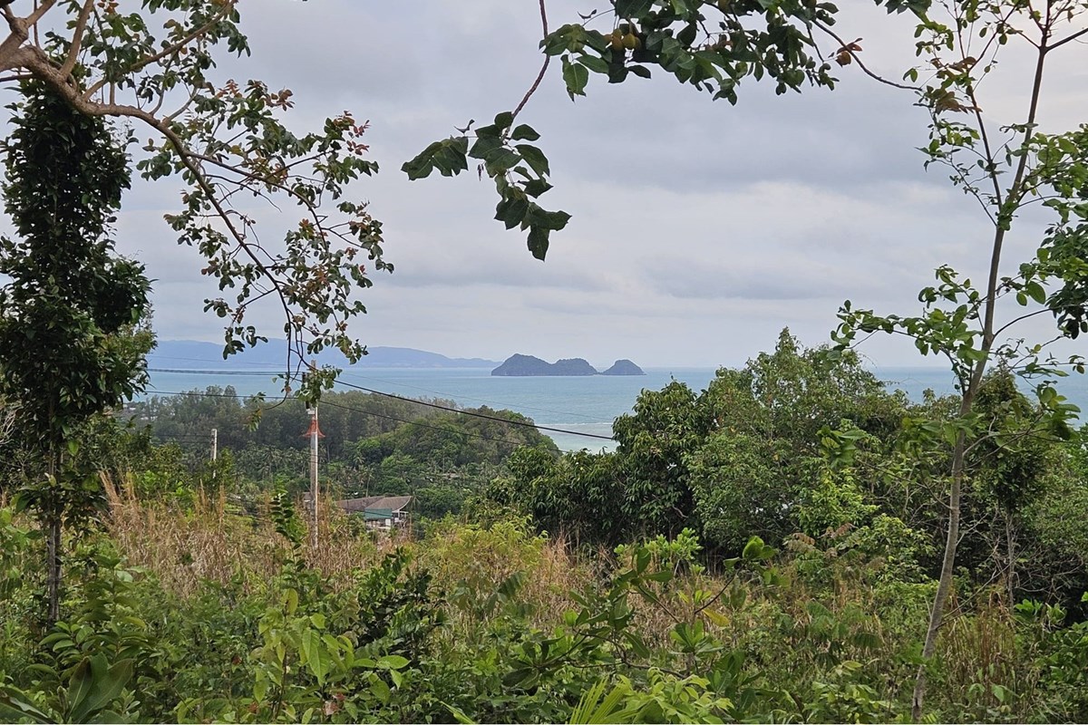 For Sale Land - Residential at Koh Pha Ngan, Surat Thani, 13470000 THB, Bedrooms, Surat Thani