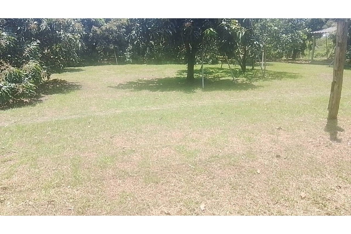 For Sale Land - Residential at Ban Waen Hang Dong, Chiang Mai, 5544000 THB, Bedrooms, Ban Waen, Chiang Mai