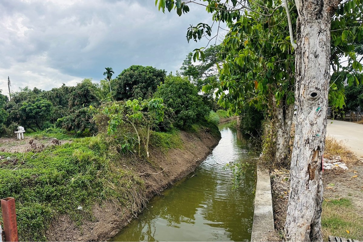For Sale Land - Residential at San Phak Wan Hang Dong, Chiang Mai, 1750000 THB, Bedrooms, San Phak Wan, Chiang Mai