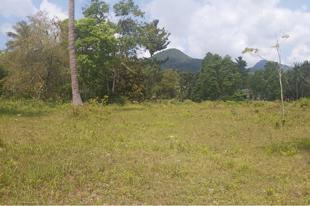 For Sale Land - Residential at Koh Pha Ngan, Surat Thani, 9351000 THB, Bedrooms, Surat Thani