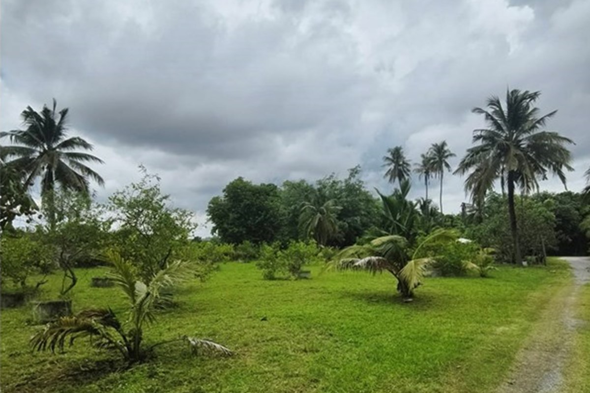 For Sale Land - Residential at San Phak Wan Hang Dong, Chiang Mai, North, 7531000 THB, Bedrooms, San Phak Wan, Chiang Mai