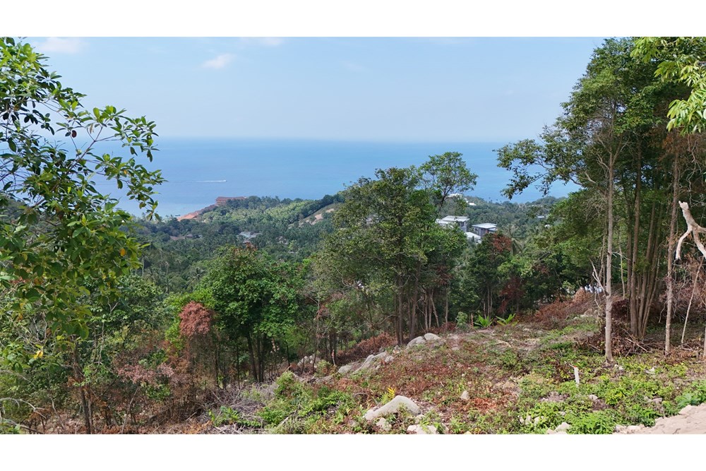 For Sale Land - Residential at Koh Pha Ngan, Surat Thani, 7000000 THB, Bedrooms, Surat Thani