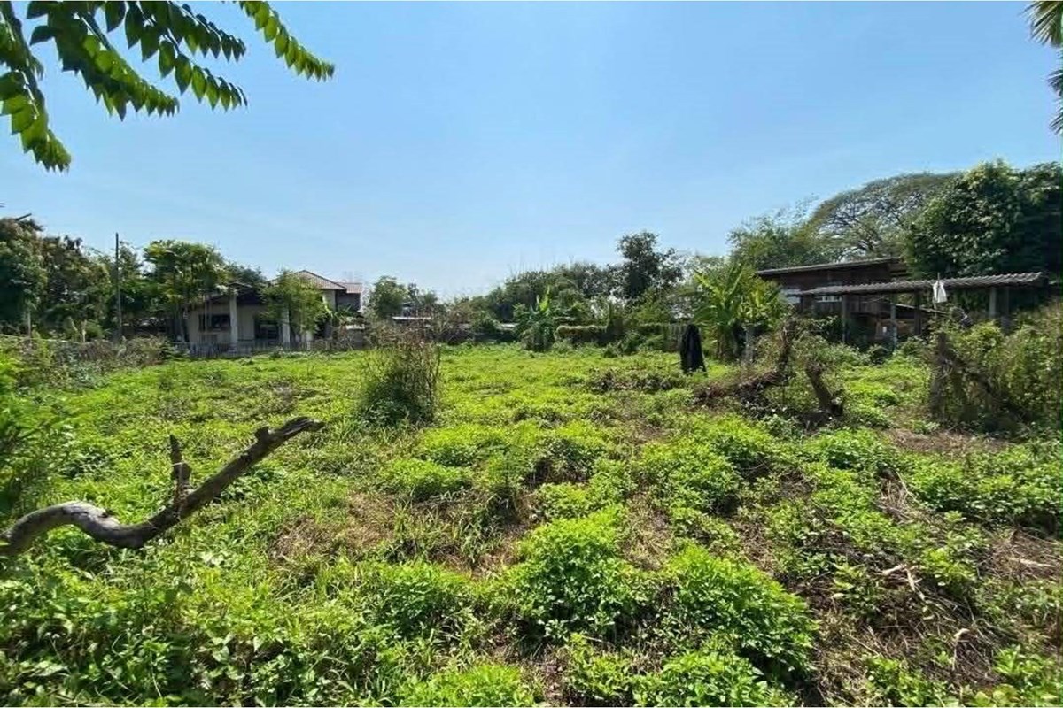 For Sale Land - Residential at San Na Meng San Sai, Chiang Mai, 2900000 THB, Bedrooms, San Na Meng, Chiang Mai