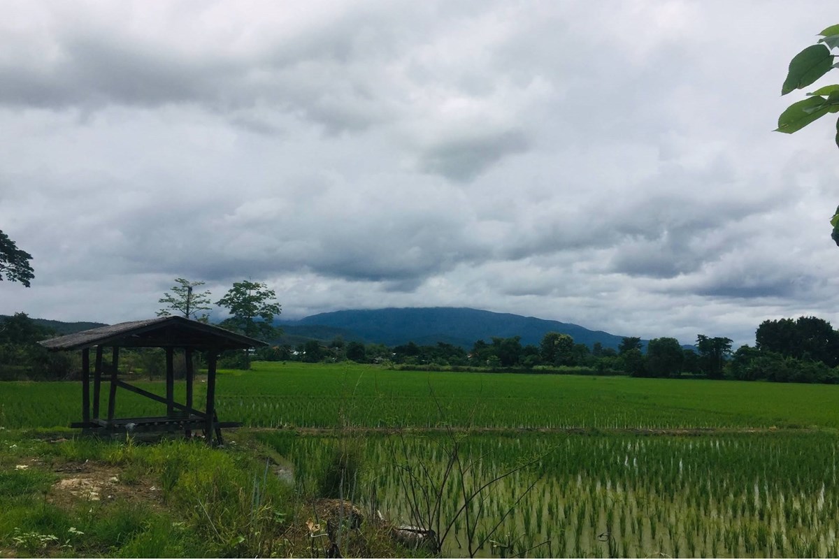 For Sale Land - Residential at Nam Phrae Hang Dong, Chiang Mai, North, 4816000 THB, Bedrooms, Nam Phrae, Chiang Mai