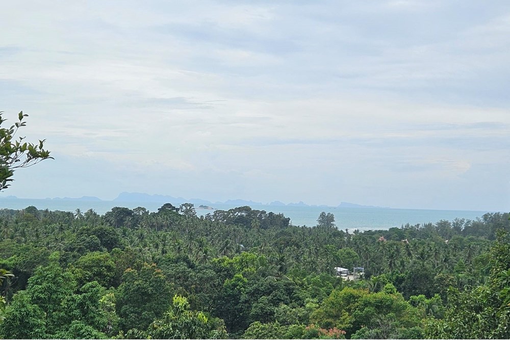 For Sale Land - Residential at Koh Pha Ngan, Surat Thani, 16000000 THB, Bedrooms, Surat Thani