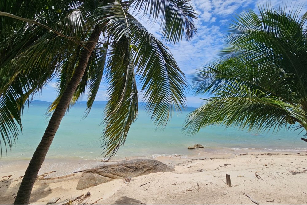For Sale Land - Residential at Koh Pha Ngan, Surat Thani, 48000000 THB, Bedrooms, Surat Thani