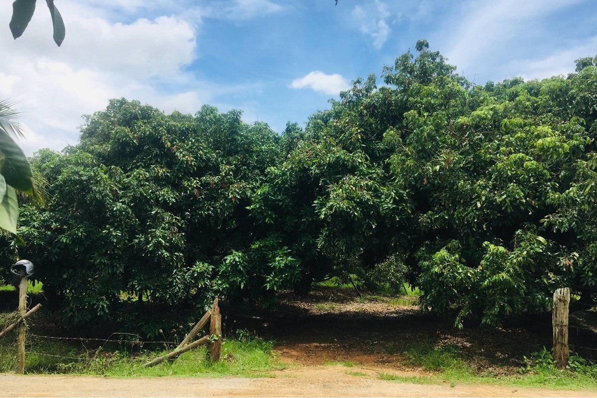 For Sale Land - Residential at Nam Phrae Hang Dong, Chiang Mai, North, 4600000 THB, Bedrooms, Nam Phrae, Chiang Mai