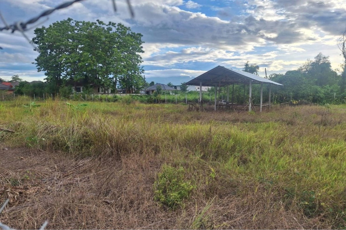 For Sale Land - Residential at Pa Phai San Sai, Chiang Mai, 1900000 THB, Bedrooms, Pa Phai, Chiang Mai