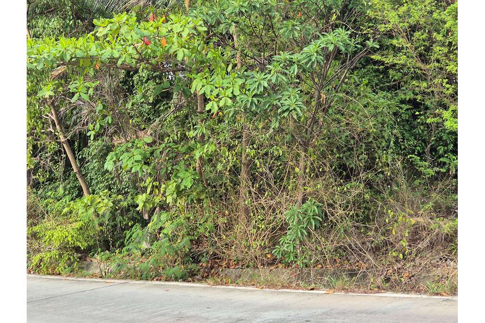 For Sale Land at Haad Salad Koh Pha Ngan, Surat Thani, 3500000 THB, Bedrooms, Haad Salad, Surat Thani