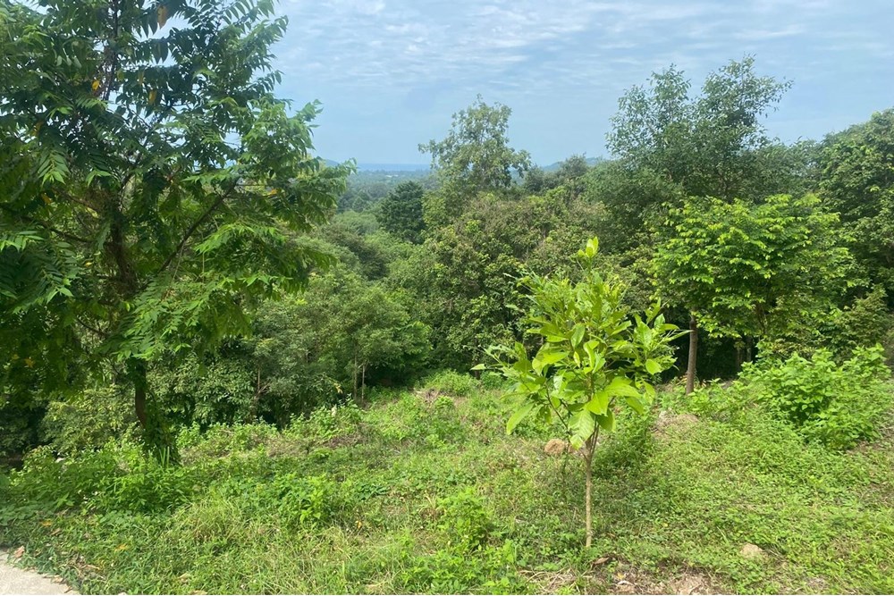 For Sale Land - Residential at Koh Pha Ngan, Surat Thani, 13000000 THB, Bedrooms, Surat Thani