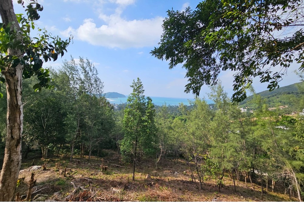 For Sale Land - Residential at Koh Pha Ngan, Surat Thani, 25000000 THB, Bedrooms, Surat Thani