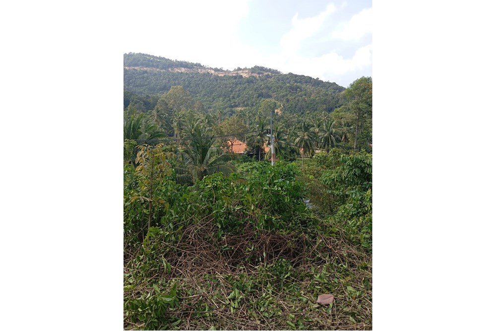 For Sale Land - Residential at Koh Pha Ngan, Surat Thani, 7000000 THB, Bedrooms, Surat Thani