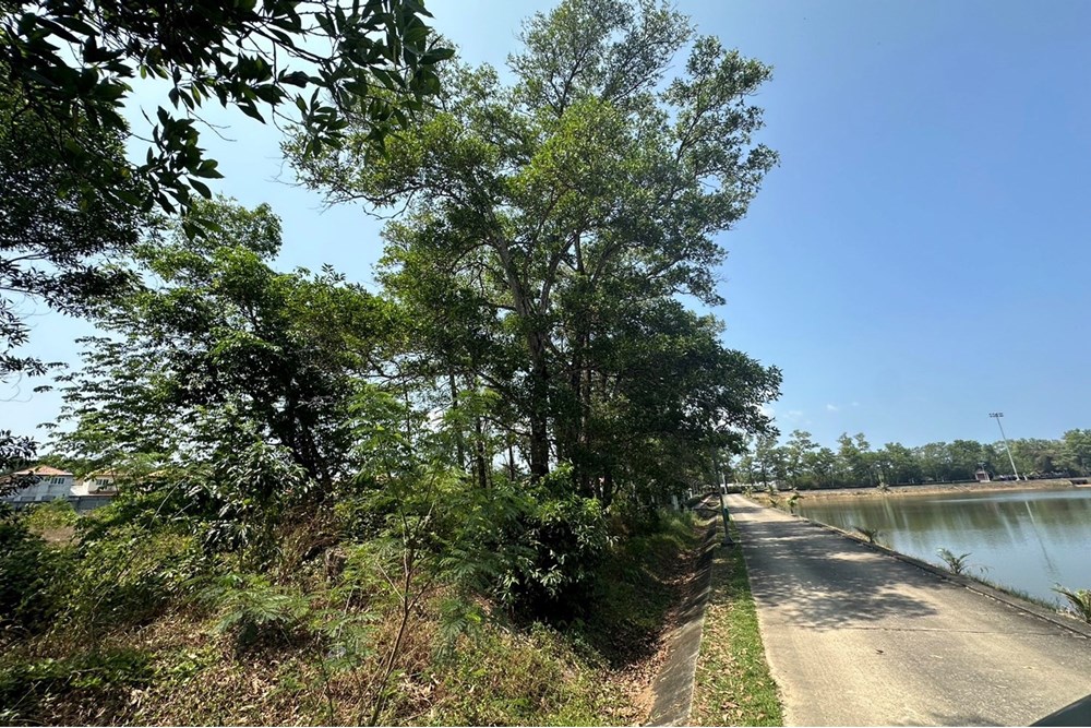 For Sale Land - Residential at Si Sunthon Thalang, Phuket, South, 350000000 THB, Bedrooms, Si Sunthon, Phuket
