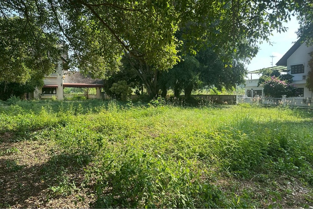 For Sale Land at Chang Khlan Mueang Chiang Mai, Chiang Mai, 33832000 THB, Bedrooms, Chang Khlan, Chiang Mai