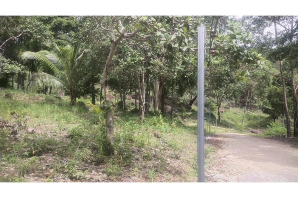 For Sale Land - Residential at Koh Pha Ngan, Surat Thani, 36000000 THB, Bedrooms, Surat Thani