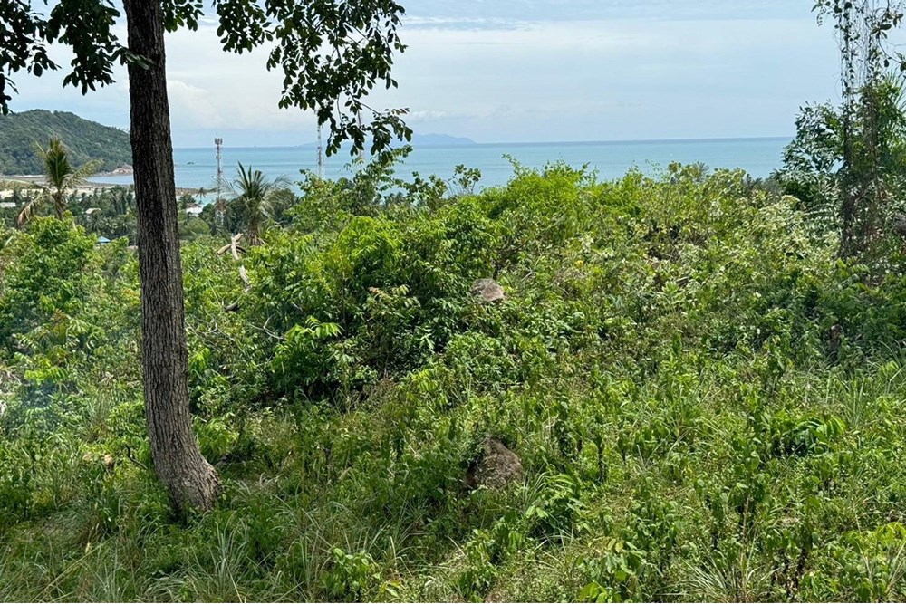 For Sale Land - Residential at Koh Pha Ngan, Surat Thani, 60000000 THB, Bedrooms, Surat Thani