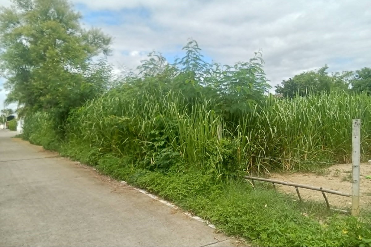 For Sale Land - Residential at Mae Hia Mueang Chiang Mai, Chiang Mai, 20600000 THB, Bedrooms, Mae Hia, Chiang Mai
