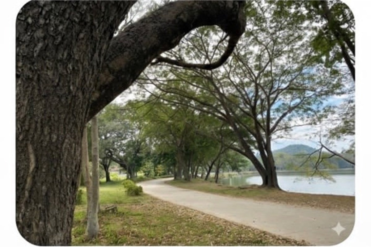 For Sale Land - Residential at On Tai San Kamphaeng, Chiang Mai, 4400000 THB, Bedrooms, On Tai, Chiang Mai