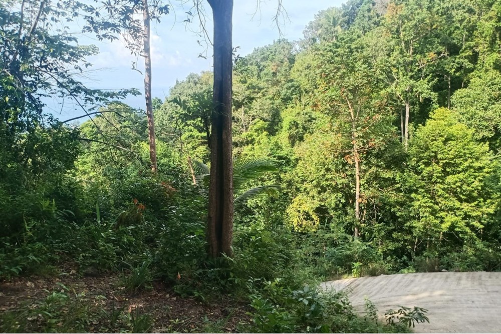 For Sale Land - Residential at Koh Pha Ngan, Surat Thani, 10000000 THB, Bedrooms, Surat Thani