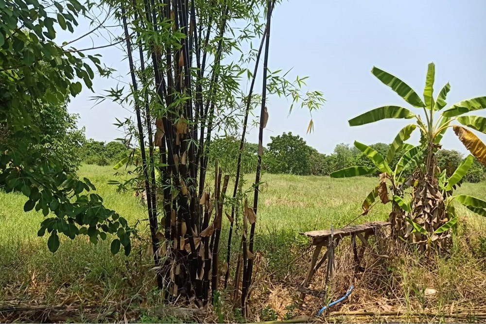 For Sale Land - Residential at Yu Wa San Pa Tong, Chiang Mai, 38103600 THB, Bedrooms, Yu Wa, Chiang Mai