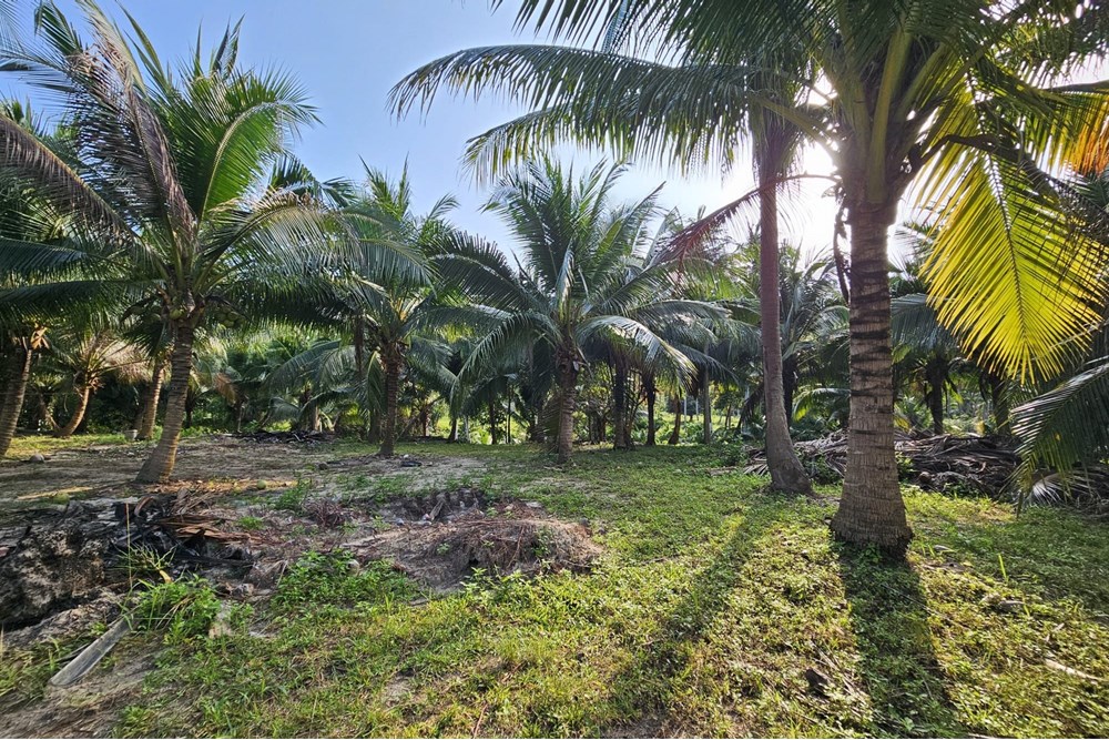 For Sale Land - Residential at Koh Pha Ngan, Surat Thani, 10367500 THB, Bedrooms, Surat Thani