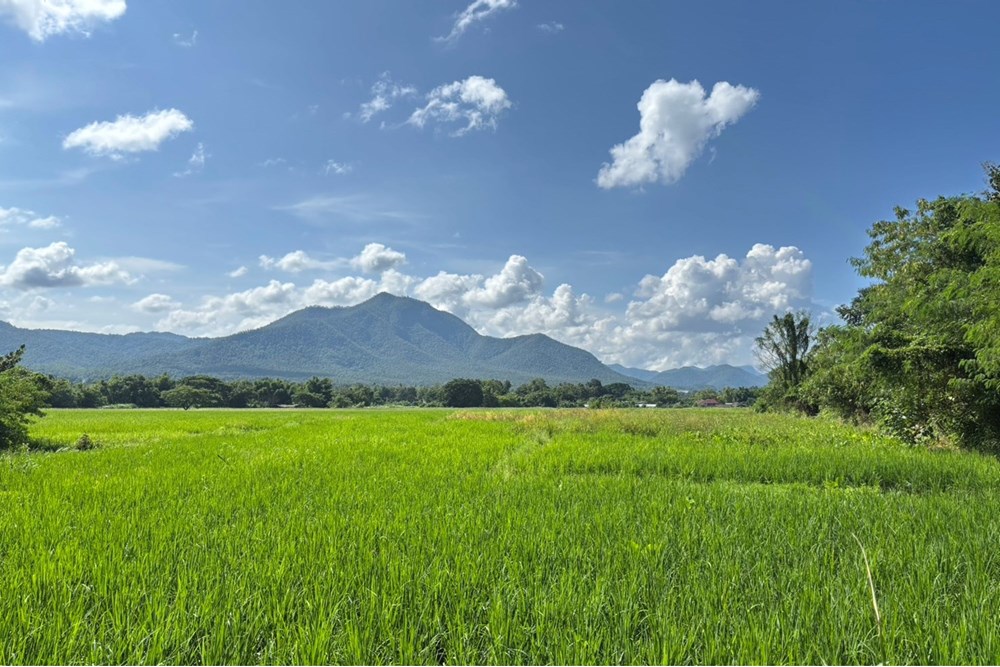For Sale Land at Ban Sahakon Mae On, Chiang Mai, 47520000 THB, Bedrooms, Ban Sahakon, Chiang Mai