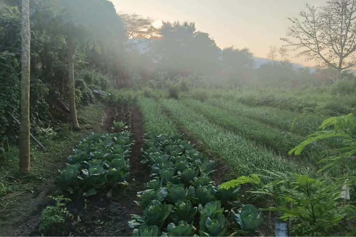 For Sale Land - Residential at San Phi Suea Mueang Chiang Mai, Chiang Mai, 18620000 THB, Bedrooms, San Phi Suea, Chiang Mai