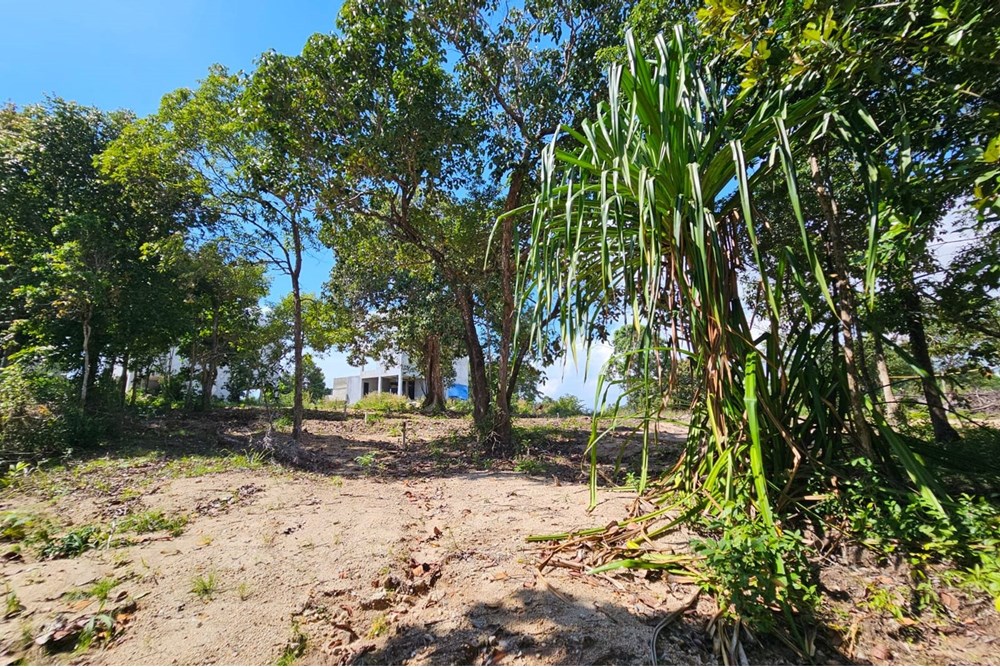 For Sale Land - Residential at Koh Pha Ngan, Surat Thani, 2500000 THB, Bedrooms, Surat Thani