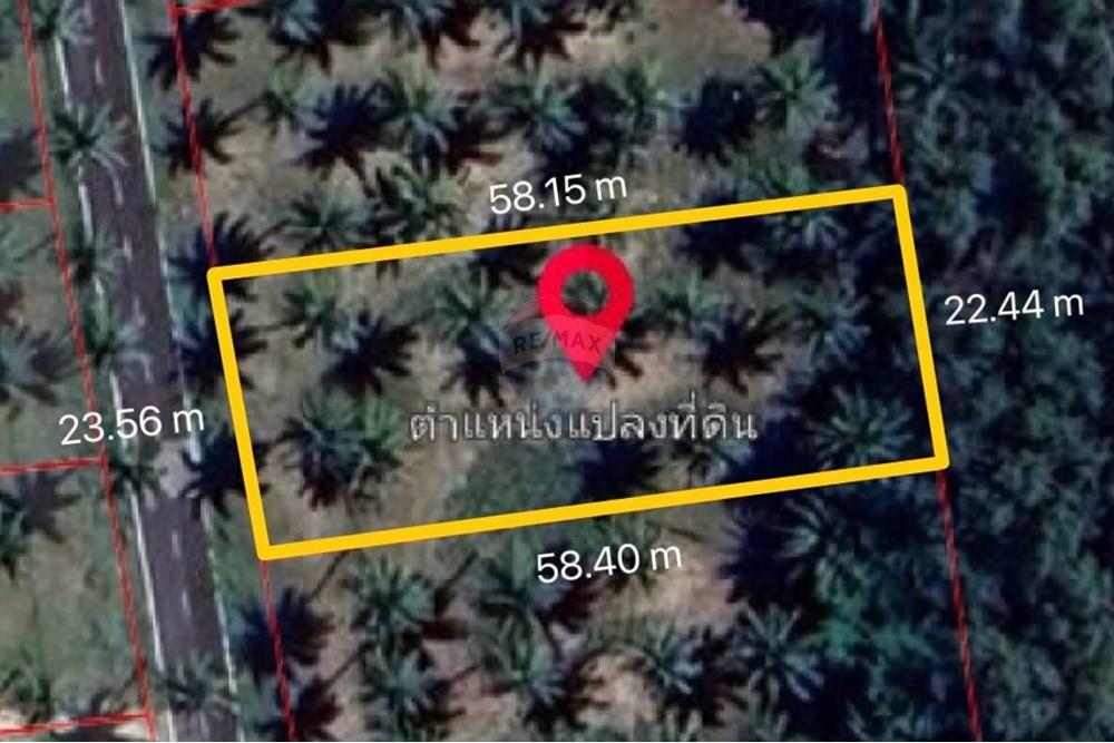 Land - Residential - For Sale - Tha Sala, Nakhon Si Thammarat - S__201080835.jpg - 920121030-282
